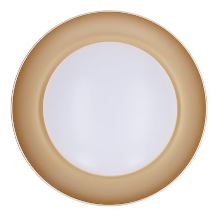 Brilagi - Plafonieră LED dimabilă ALVA, 48 W, 230 V, 3000–6500 K, Ø51 cm, neagră + telecomandă