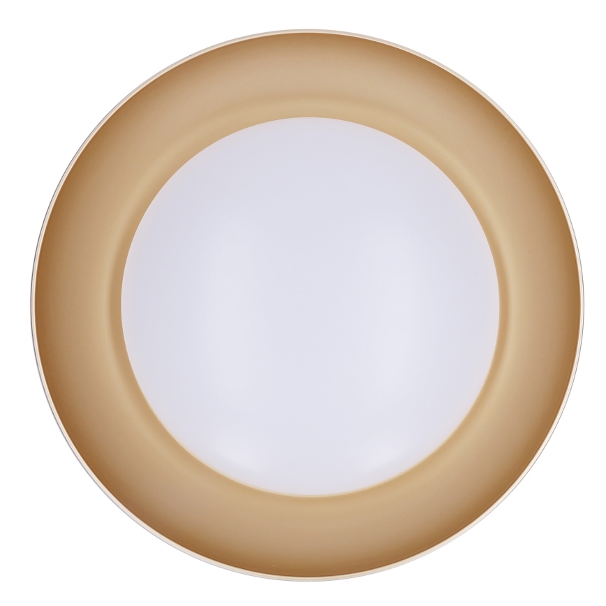 Brilagi - Plafonieră LED dimabilă ALVA, 48 W, 230 V, 3000–6500 K, Ø51 cm, neagră + telecomandă