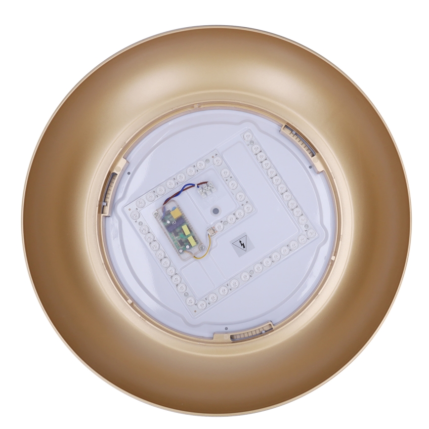 Brilagi - Plafonieră LED dimabilă ALVA, 48 W, 230 V, 3000–6500 K, Ø51 cm, neagră + telecomandă