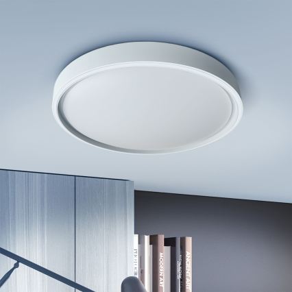 Brilagi - Plafonier LED dimabil NANCI, 60W, 230V, 3000-6500K, Ø 49 cm, argintiu + telecomandă
