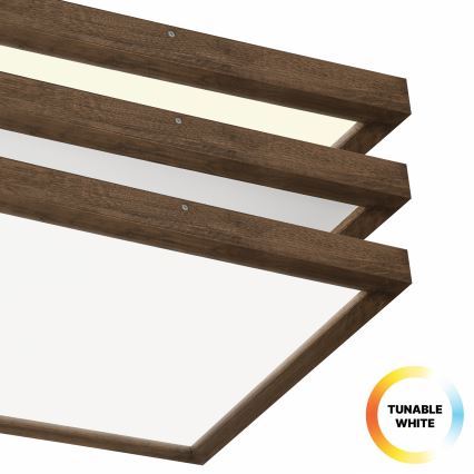 BRILAGI - Plafonieră LED reglabilă pentru baie WOODY FRAME LED/50W/230V stejar nuc 60x60 cm 3000-6000K IP44 + telecomandă
