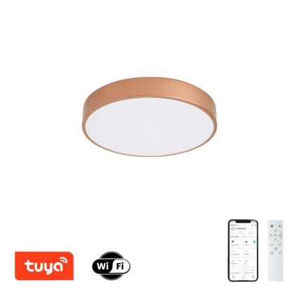 BRILAGI - Plafonieră LED dimabilă POOL SMART LED/48W/230V 3000-6000K Ø 40 cm Wi-Fi Tuya cupru + telecomandă