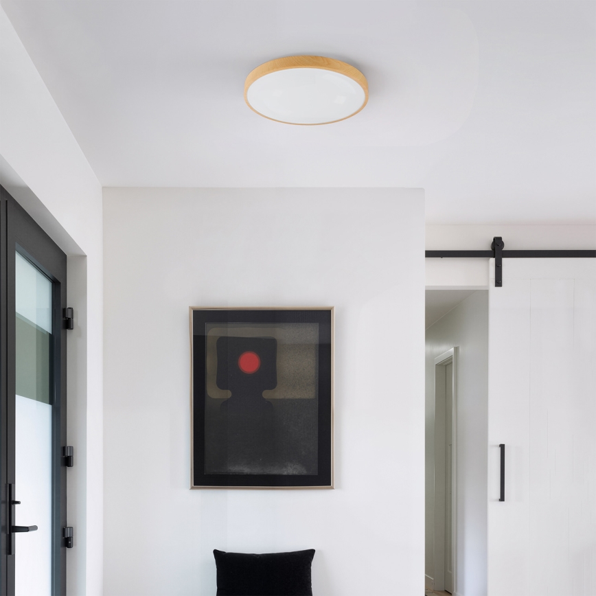 Brilagi - Plafonieră LED reglabilă GLASS POOL DOUBLE, 48W/230V, 3000-6000K, 40 cm, decor lemn + telecomandă