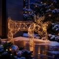 BRILAGI - LED Decorațiune de Crăciun pentru exterior LED/3,3W/230V IP44 56x43 cm ren