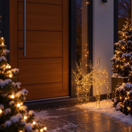 BRILAGI - LED Decorațiune de Crăciun pentru exterior LED/3,3W/230V IP44 56x43 cm ren