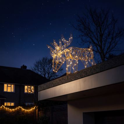 BRILAGI - LED Decorațiune de Crăciun pentru exterior LED/3,3W/230V IP44 56x43 cm ren