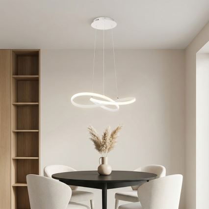 Brilagi - Lustră LED dimmabilă pe cablu INFINITY LED/55W/230V 3000-6000K 50x50 cm albă + telecomandă