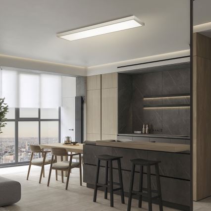 Brilagi - Plafonieră LED reglabilă pentru baie FRAME SMART LED/50W/230V 120x30 cm 3000-6000K IP44 argintie + telecomandă