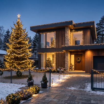 BRILAGI - LED ghirlandă de Crăciun pentru exterior 1000xLED/8 funcții 105 m IP44 alb cald