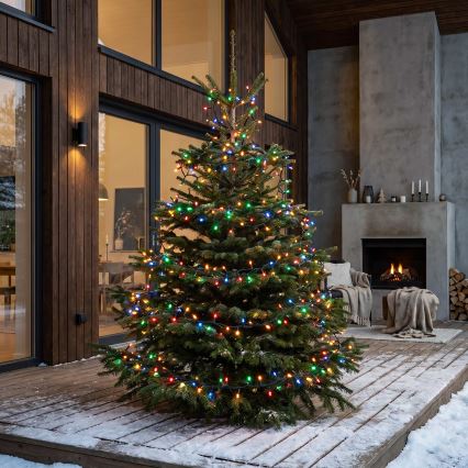 BRILAGI - LED Ghirlandă de Crăciun pentru exterior 100xLED/8 funcții 13 m IP44 multicolor