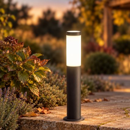 BRILAGI - Lampă LED dimmabilă de exterior ELIA 1xE27/6W/230V 2700-6500K IP44 Wi-Fi 50 cm antracit