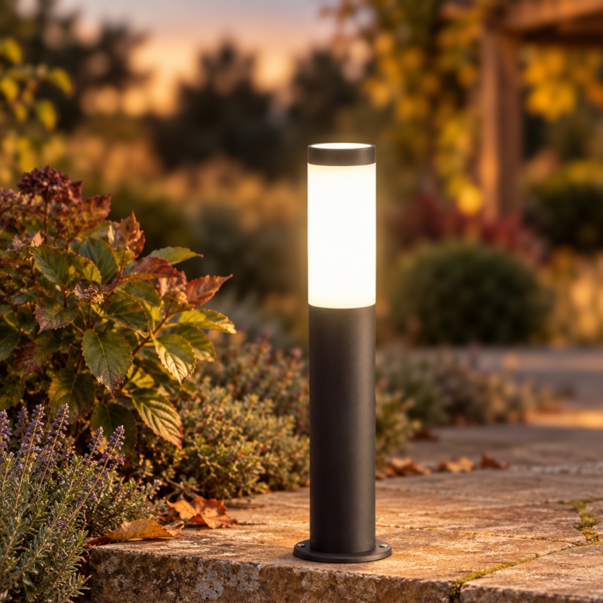 BRILAGI - Lampă LED dimmabilă de exterior ELIA 1xE27/6W/230V 2700-6500K IP44 Wi-Fi 50 cm antracit