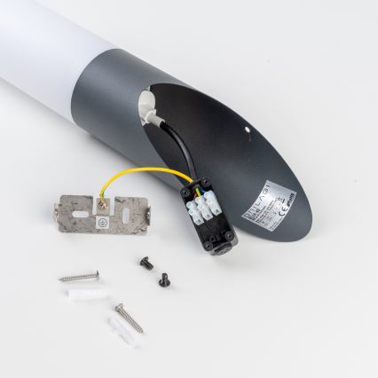 BRILAGI - Lampă LED de perete dimmabilă pentru exterior ELIA 1xE27/6W/230V 2700-6500K IP44 Wi-Fi antracit