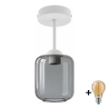 BRILAGI - LED lustră aplicată RETRO GLASS 1xE27/60W/230V Ø 14 cm alb/gri fumuriu