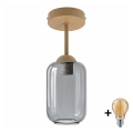BRILAGI - LED lustră aplicată RETRO GLASS 1xE27/60W/230V Ø 14 cm bej/gri fumuriu