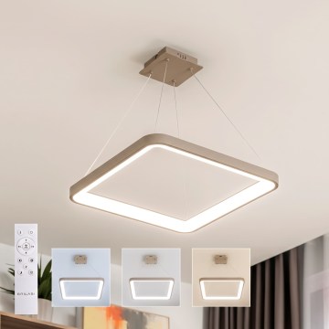 BRILAGI - LED lustra dimabilă pe cablu FALCON SLIM LED/50W/230V 3000-6500K 50x50 cm bej + telecomandă