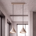 BRILAGI - LED Lustră pe cablu CONE DOUBLE 2xGX53/15W/230V bej