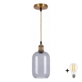 BRILAGI - LED lustră pe cablu RETRO GLASS 1xE27/60W/230V Ø 14 cm auriu/gri fumuriu