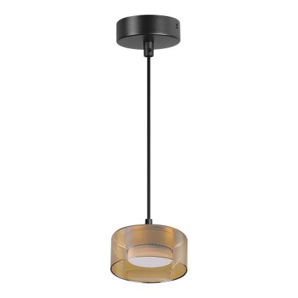 Brilagi - LED Lustră suspendată pe cablu AURA LUX 1xGX53/30W/230V negru/auriu