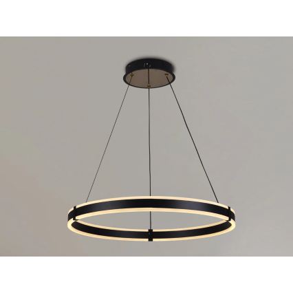 Brilagi - Lustră LED dimabilă suspendată pe cablu CIRCLE, 85W, 230V, 3000–6500K, Ø 60 cm, negru/auriu + telecomandă inclusă