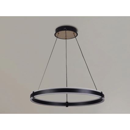 Brilagi - Lustră LED dimabilă suspendată pe cablu CIRCLE, 85W, 230V, 3000–6500K, Ø 60 cm, negru/auriu + telecomandă inclusă