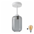 BRILAGI - LED lustru aplicat RETRO GLASS 1xE27/60W/230V Ø 14 cm alb/gri fumuriu