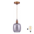 BRILAGI - LED lustru suspendat pe cablu RETRO GLASS 1xE27/60W/230V Ø 14 cm auriu/gri fumuriu