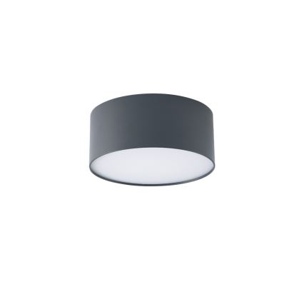 BRILAGI - Plafonieră LED de exterior FORIS LED/20W/230V Ø 15 cm antracit IP44