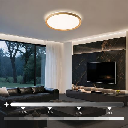 Plafonieră LED dimabilă Brilagi RIVO, LED/72W/230V, 3000-6000K, decor lemn, Ø 50 cm, cu telecomandă
