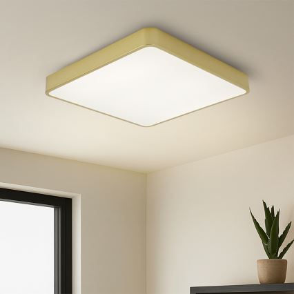 BRILAGI - Plafonieră LED reglabilă POOL SQUARE LED/48W/230V 3000-6000K 50x50 cm aurie + telecomandă
