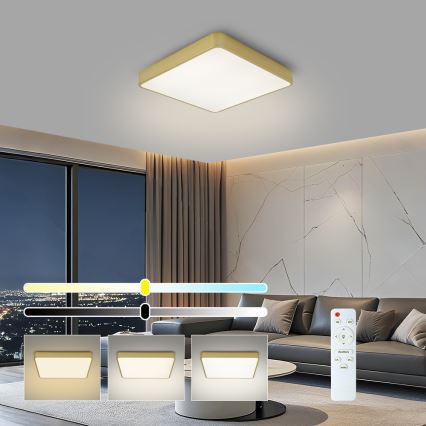 BRILAGI - Plafonieră LED reglabilă POOL SQUARE LED/48W/230V 3000-6000K 50x50 cm aurie + telecomandă