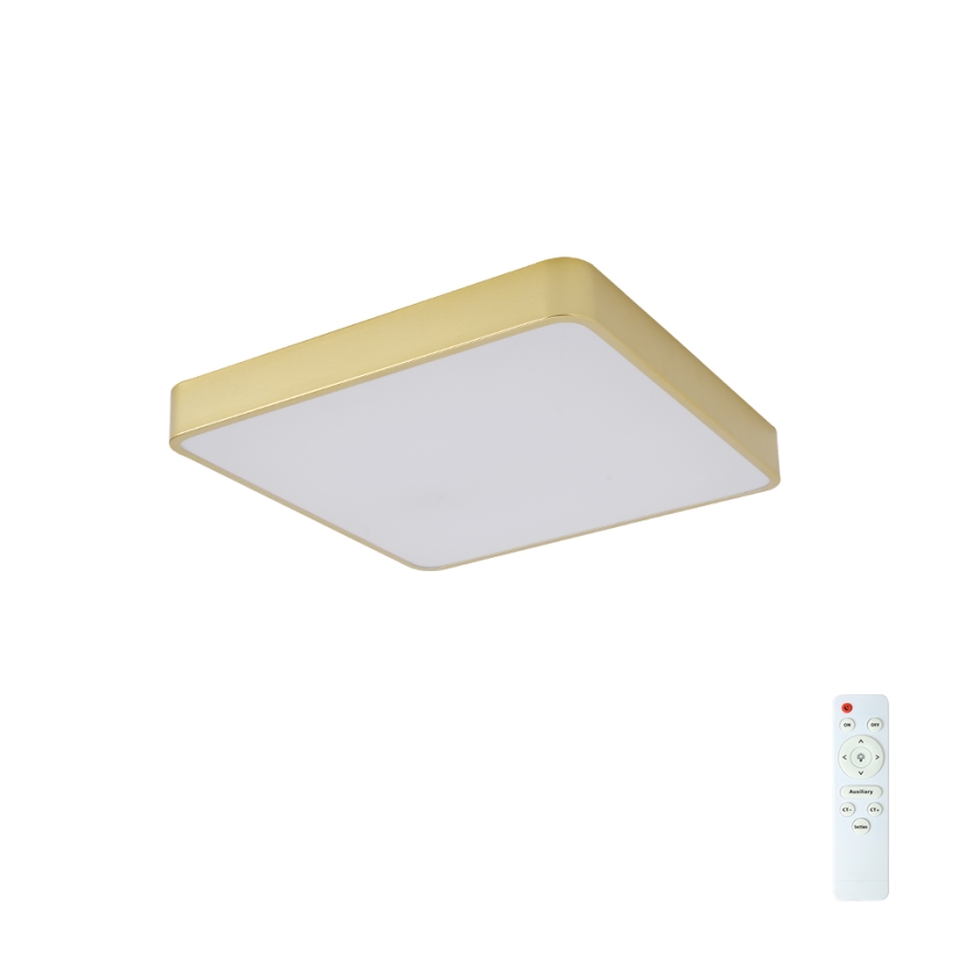 BRILAGI - Plafonieră LED reglabilă POOL SQUARE LED/48W/230V 3000-6000K 50x50 cm aurie + telecomandă