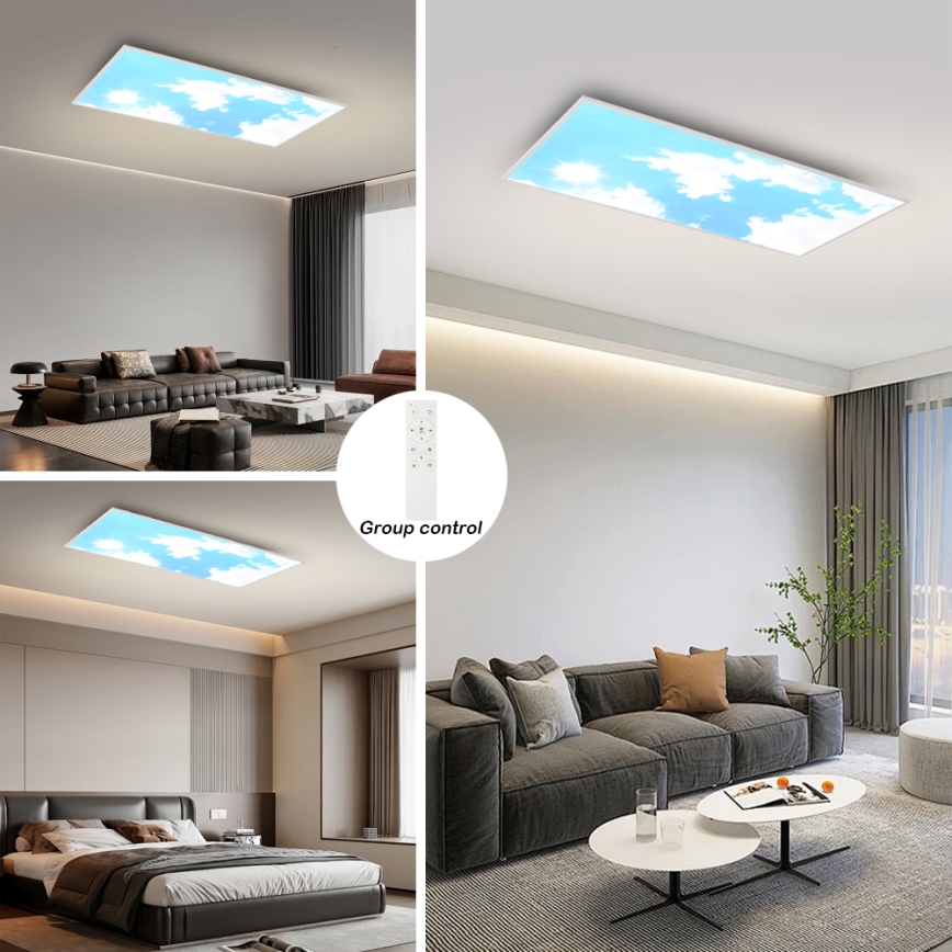 Brilagi - Plafonieră LED dimabilă SLIMFRAME LED/80W/230V 120x60 cm 3000-6000K argintiu/albastru + telecomandă