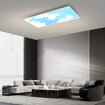 Brilagi - Plafonieră LED dimabilă SLIMFRAME LED/80W/230V 120x60 cm 3000-6000K argintiu/albastru + telecomandă