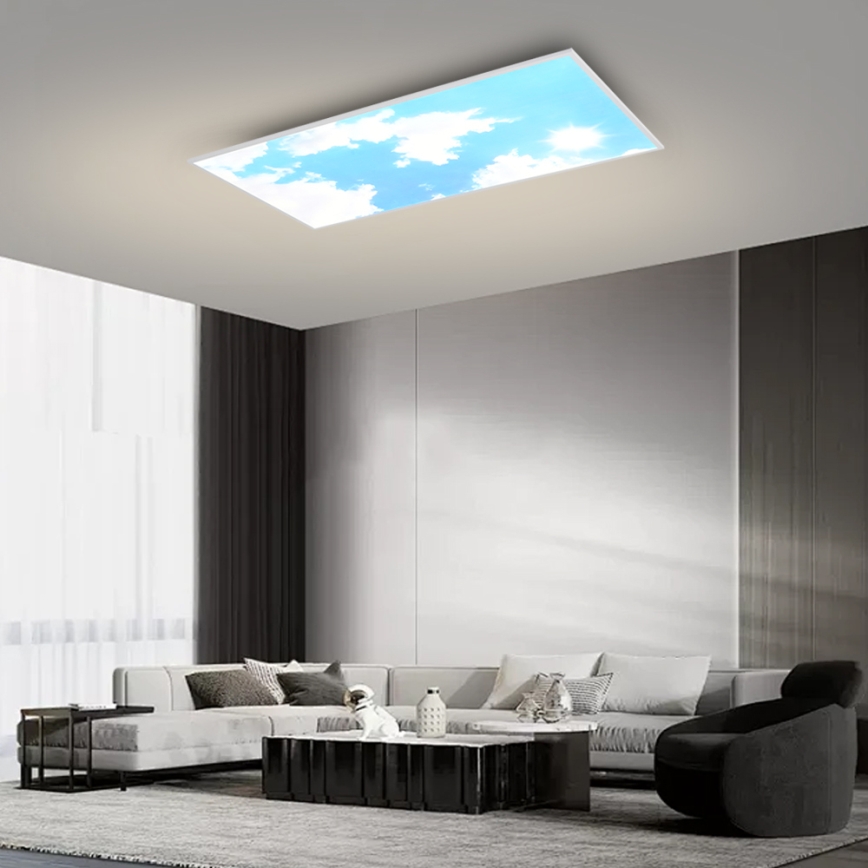 Brilagi - Plafonieră LED dimabilă SLIMFRAME LED/80W/230V 120x60 cm 3000-6000K argintiu/albastru + telecomandă