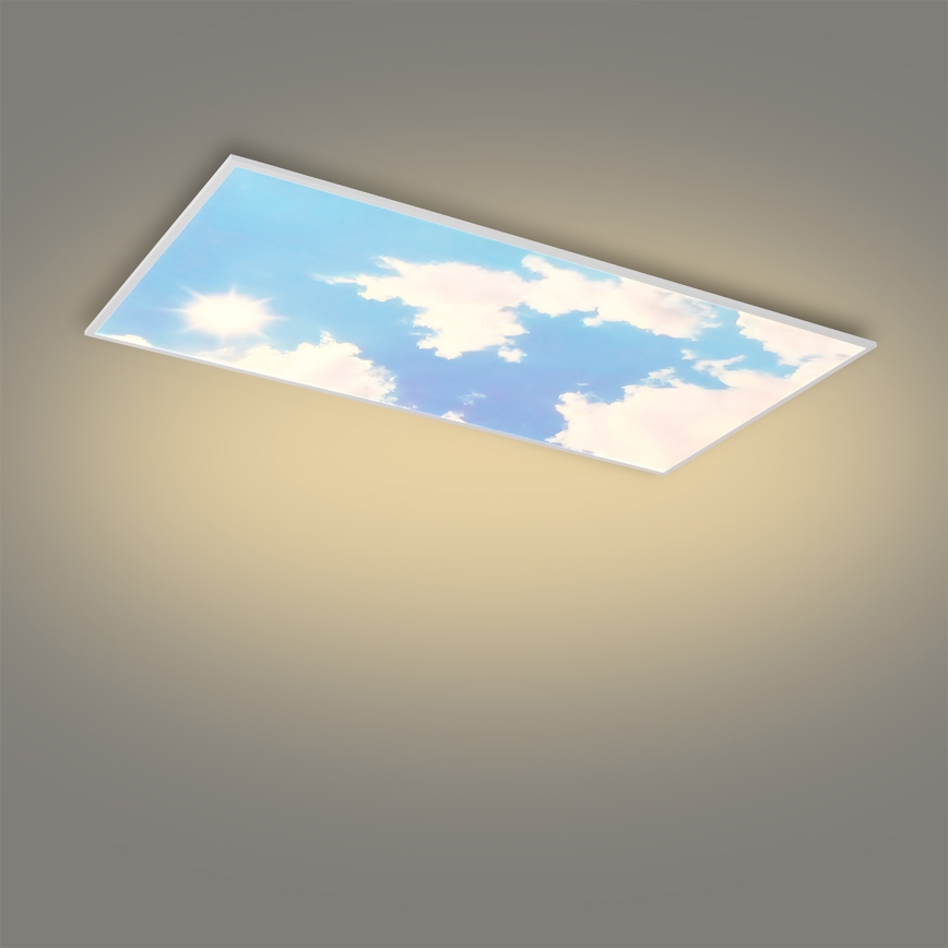 Brilagi - Plafonieră LED dimabilă SLIMFRAME SKY LED/80W/230V 120x60 cm 3000-6000K argintiu/albastru + telecomandă