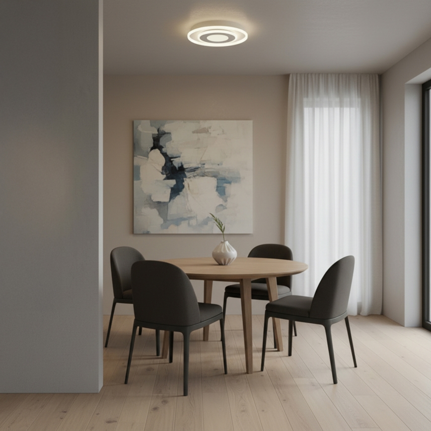 BRILAGI - LED Plafonieră MODERN MINI LED/29W/230V 3000/4000/6000K