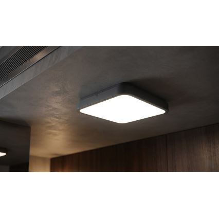 BRILAGI - Plafonieră LED pentru baie cu senzor ZENNA LED/24W/230V 34,5x34,5 cm IP44 antracit + telecomandă