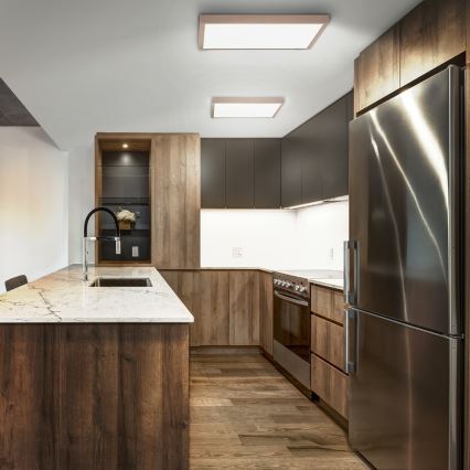 Brilagi - Plafonieră LED pentru baie FRAME LED/50W/230V 60x60 cm IP44 bej