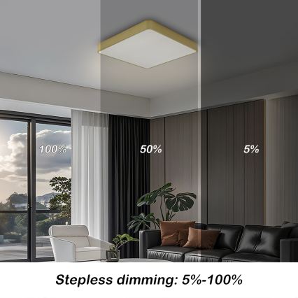 BRILAGI - Plafonieră LED dimabilă POOL SQUARE LED/36W/230V 3000-6000K 40x40 cm auriu + telecomandă
