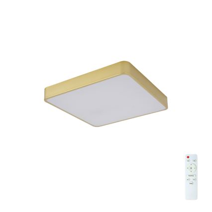 BRILAGI - Plafonieră LED dimabilă POOL SQUARE LED/36W/230V 3000-6000K 40x40 cm auriu + telecomandă
