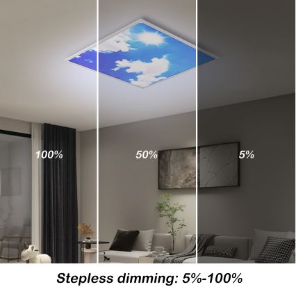 Brilagi - Plafonieră LED dimabilă SLIMFRAME SKY LED/58W/230V 60x60 cm 3000-6000K argintiu/albastru + telecomandă