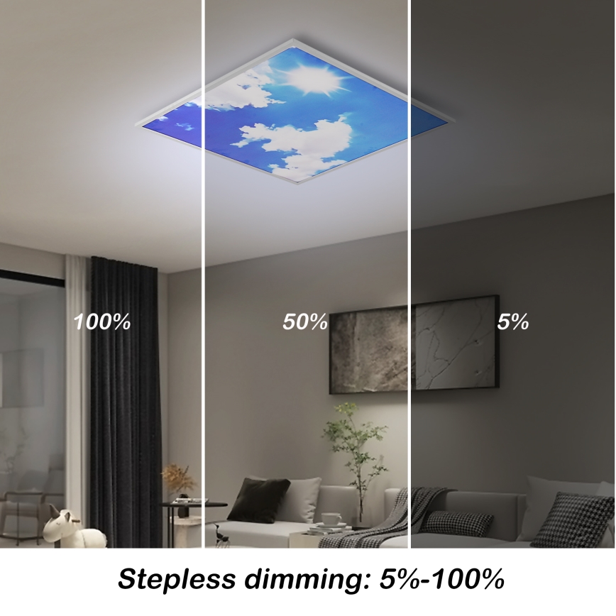 Brilagi - Plafonieră LED dimabilă SLIMFRAME SKY LED/58W/230V 60x60 cm 3000-6000K argintiu/albastru + telecomandă
