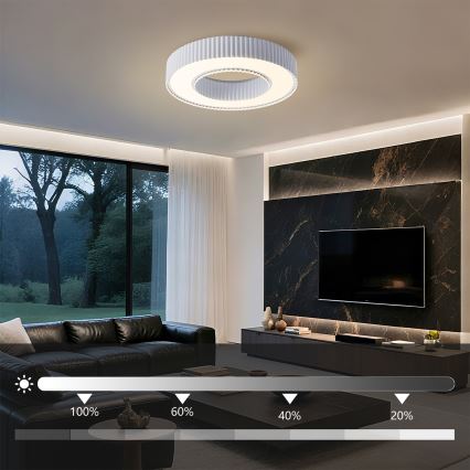 Brilagi - Plafonieră LED cu reglare a intensității LUMIX 48W 230V 3000-6000K alb Ø50 cm + telecomandă