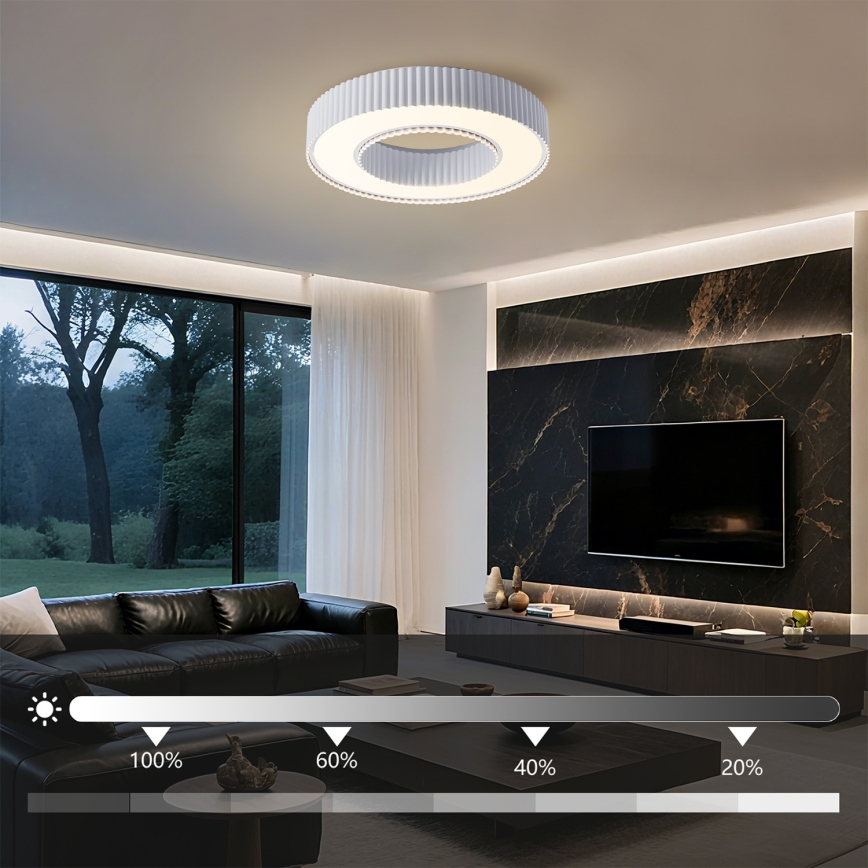 Brilagi - Plafonieră LED cu reglare a intensității LUMIX 48W 230V 3000-6000K alb Ø50 cm + telecomandă