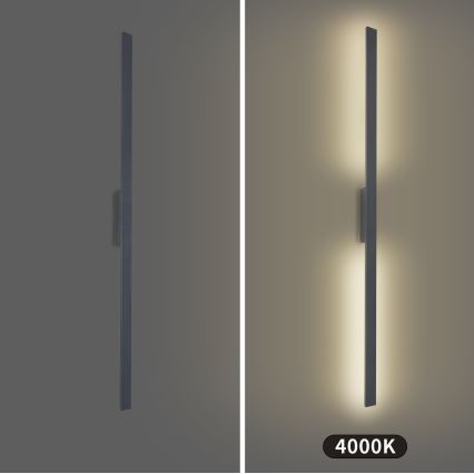 Brilagi - Aplica de perete LED pentru exterior LUNA LED/30W/230V 4000K IP65 150 cm antracit CRI 90