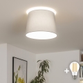 Brilagi - Lustră aplicată LED CERIA 1xE27/40W/230V Ø 30 cm, gri