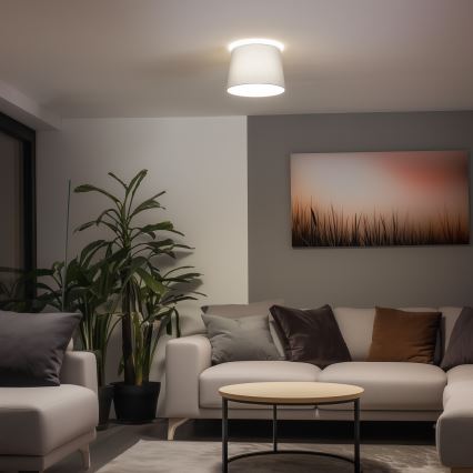 Brilagi - Lustră aplicată LED CERIA 1xE27/40W/230V Ø 30 cm, gri