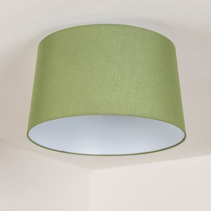 Brilagi - Lustră aplicată LED CERIA, 1xE27/40W/230V, Ø 45 cm, verde