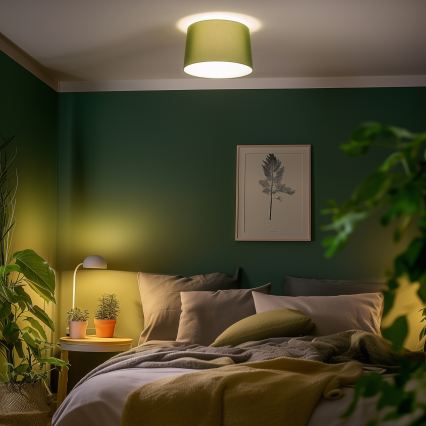 Brilagi - Lustră aplicată LED CERIA, 1xE27/40W/230V, Ø 45 cm, verde